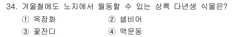 조경기능사 2015년 34번 - 정답인 '꽃잎다리'는 겨울철에도 노지에서 잘 자라는 상록 다년생 식물입니... 에 관한 핵심 기출문제