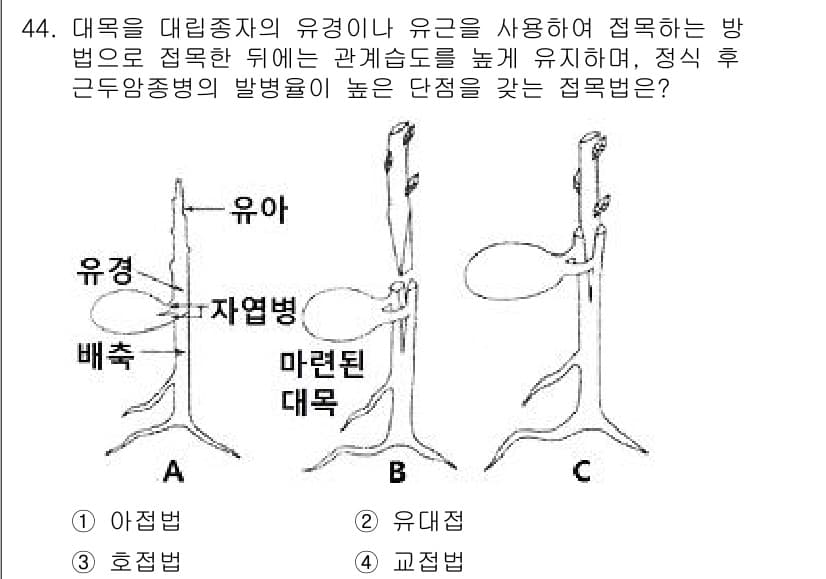 조경기능사 2015년 44번 - 정답과 핵심 포인트를 검수 중인 기출문제