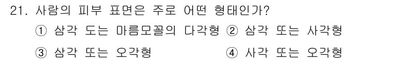 미용사(네일) 2015년 21번 - 사람의 피부 표면은 주로 '삼각형 또는 오각형' 형태로 구성되어 있습니다... 에 관한 핵심 기출문제