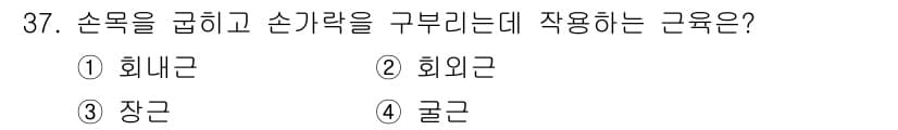 미용사(네일) 2015년 37번 - 정답과 핵심 포인트를 검수 중인 기출문제