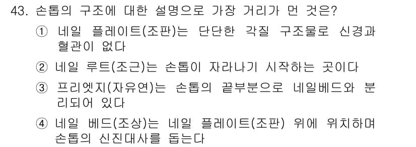 미용사(네일) 2015년 43번 - 정답과 핵심 포인트를 검수 중인 기출문제