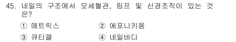 미용사(네일) 2015년 45번 - 정답과 핵심 포인트를 검수 중인 기출문제