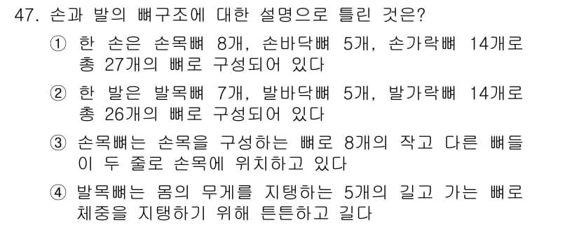 미용사(네일) 2015년 47번 - 정답과 핵심 포인트를 검수 중인 기출문제