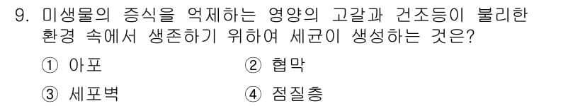 미용사(네일) 2015년 9번 - 정답과 핵심 포인트를 검수 중인 기출문제