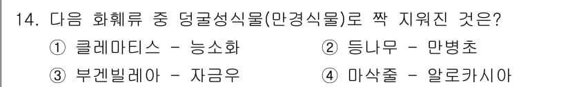 화훼장식기능사 2015년 14번 - 문제에서 묻는 '덩굴성 식물'은 주로 다른 식물이나 구조물에 의지하여 성... 에 관한 핵심 기출문제