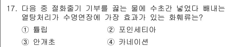 화훼장식기능사 2015년 17번 - 정답과 핵심 포인트를 검수 중인 기출문제
