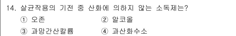 미용사(네일) 2016년 14번 - 정답과 핵심 포인트를 검수 중인 기출문제