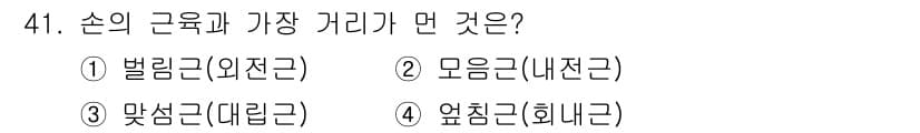 미용사(네일) 2016년 41번 - 정답과 핵심 포인트를 검수 중인 기출문제