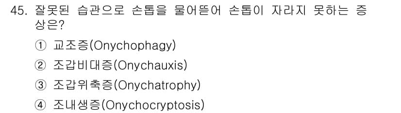 미용사(네일) 2016년 45번 - 정답과 핵심 포인트를 검수 중인 기출문제