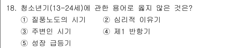 사회복지사_1급(1교시)(구) 2015년 18번 - 청소년기(13-24세)에 관한 용어 중 "제 반향기"는 일반적으로 청소년... 에 관한 핵심 기출문제