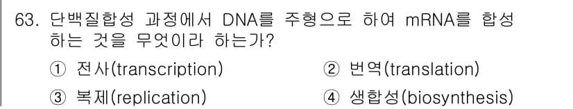 식품안전기사 2016년 63번 - 정답과 핵심 포인트를 검수 중인 기출문제