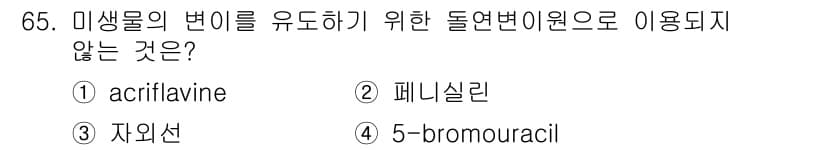 식품안전기사 2016년 65번 - 정답과 핵심 포인트를 검수 중인 기출문제