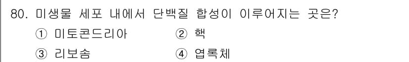 식품안전기사 2016년 80번 - 정답은 3. 리보솜입니다. 리보솜은 단백질 합성의 주요 장소로, mRNA... 에 관한 핵심 기출문제