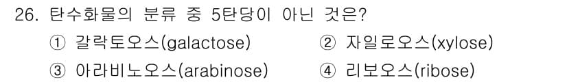 한식조리기능사 2016년 26번 - 정답과 핵심 포인트를 검수 중인 기출문제