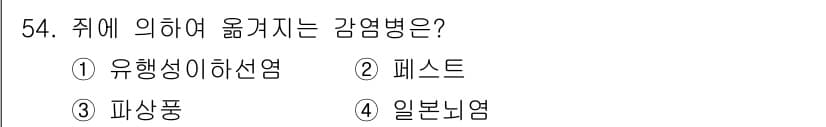 한식조리기능사 2016년 53번 - 정답과 핵심 포인트를 검수 중인 기출문제