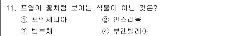 화훼장식기능사 2016년 11번 - 정답과 핵심 포인트를 검수 중인 기출문제
