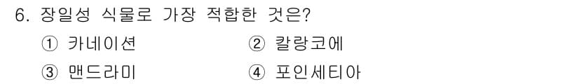 화훼장식기능사 2016년 6번 - 정답과 핵심 포인트를 검수 중인 기출문제
