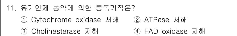 식품안전기사 2017년 11번 - 정답과 핵심 포인트를 검수 중인 기출문제