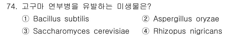 식품안전기사 2017년 74번 - 정답과 핵심 포인트를 검수 중인 기출문제