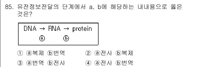 식품안전기사 2017년 85번 - . 

유전정보전달의 단계는 DNA에서 RNA, 그리고 단백질로 이어지는... 에 관한 핵심 기출문제