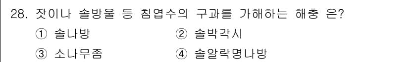 산림기능사 2015년 28번 - 정답은 4번 "솔알람니방"이다. 이는 잣이나 솔방울을 통해 침엽수의 구계... 에 관한 핵심 기출문제