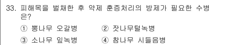 산림기능사 2015년 33번 - 정답과 핵심 포인트를 검수 중인 기출문제