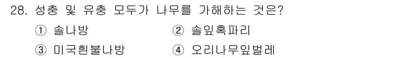 산림기능사 2016년 28번 - 정답과 핵심 포인트를 검수 중인 기출문제
