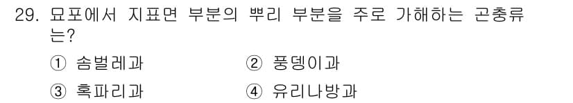 산림기능사 2016년 29번 - 정답과 핵심 포인트를 검수 중인 기출문제