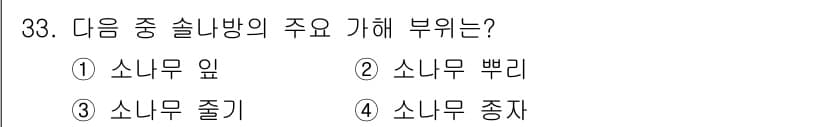 산림기능사 2016년 33번 - 정답과 핵심 포인트를 검수 중인 기출문제