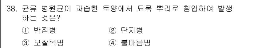 산림기능사 2016년 38번 - 정답과 핵심 포인트를 검수 중인 기출문제
