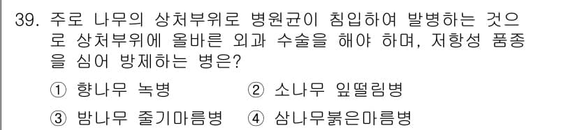 산림기능사 2016년 39번 - 정답과 핵심 포인트를 검수 중인 기출문제
