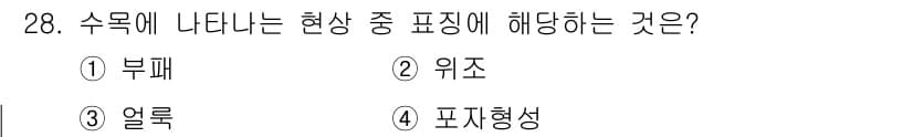 산림기사 2016년 28번 - 정답과 핵심 포인트를 검수 중인 기출문제
