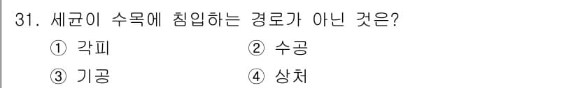 산림기사 2016년 31번 - 정답은 4. 상처입니다. 새들이 수목에 침입하는 경로는 각피, 수공, 기... 에 관한 핵심 기출문제