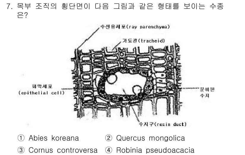 산림기사 2016년 7번 - 정답과 핵심 포인트를 검수 중인 기출문제