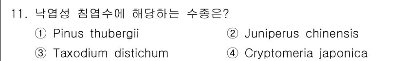 산림기사 2017년 11번 - 정답과 핵심 포인트를 검수 중인 기출문제