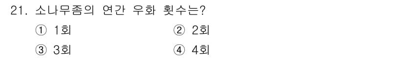 산림기사 2017년 21번 - 소나무종의 연간 우화 횟수는 보통 2회입니다. 이는 기후와 생장 조건에 ... 에 관한 핵심 기출문제