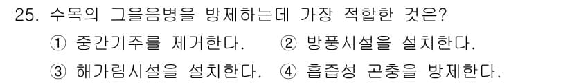 산림기사 2017년 25번 - 정답과 핵심 포인트를 검수 중인 기출문제