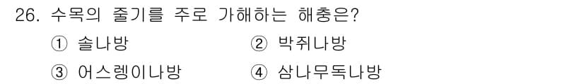산림기사 2017년 26번 - 정답과 핵심 포인트를 검수 중인 기출문제