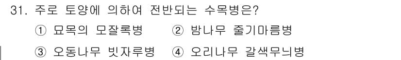산림기사 2017년 31번 - 정답과 핵심 포인트를 검수 중인 기출문제