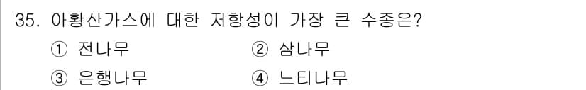 산림기사 2017년 35번 - 3. 은행나무는 아황산가스에 대한 저항성이 높아 그로 인해 대기오염에 강... 에 관한 핵심 기출문제