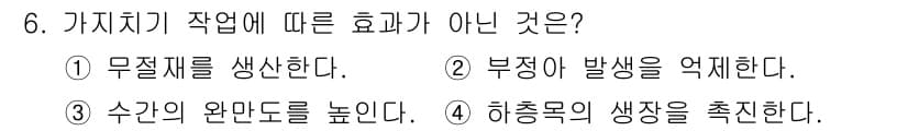 산림기사 2017년 6번 - 정답과 핵심 포인트를 검수 중인 기출문제
