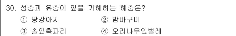 산림산업기사(구60문항) 2015년 30번 - 정답과 핵심 포인트를 검수 중인 기출문제