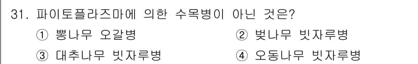 산림산업기사(구60문항) 2015년 31번 - 정답과 핵심 포인트를 검수 중인 기출문제