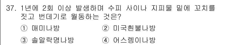 산림산업기사(구60문항) 2015년 37번 - 정답과 핵심 포인트를 검수 중인 기출문제