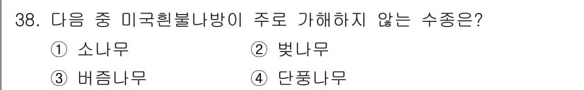 산림산업기사(구60문항) 2015년 38번 - 정답과 핵심 포인트를 검수 중인 기출문제