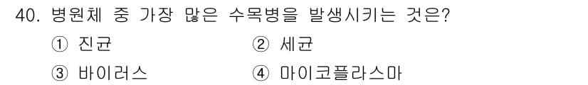 산림산업기사(구60문항) 2015년 40번 - 정답과 핵심 포인트를 검수 중인 기출문제