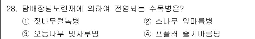 산림산업기사 2015년 28번 - . 잔뿌리녹병

잔뿌리녹병은 담배나방의 피해로 발생하는 병으로, 담배 작... 에 관한 핵심 기출문제