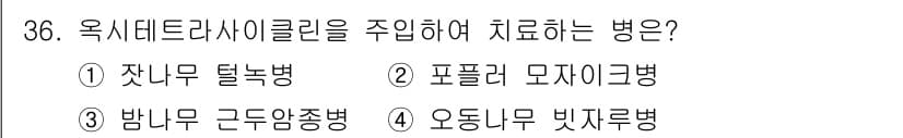 산림산업기사 2016년 36번 - 정답은 1번 잔너무 탈록병입니다. 이 병은 옥시데트라시클린을 주로 사용하... 에 관한 핵심 기출문제