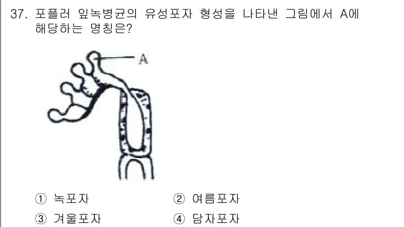산림산업기사 2016년 37번 - 정답과 핵심 포인트를 검수 중인 기출문제