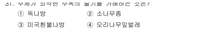 산림산업기사(구60문항) 2017년 31번 - 정답과 핵심 포인트를 검수 중인 기출문제